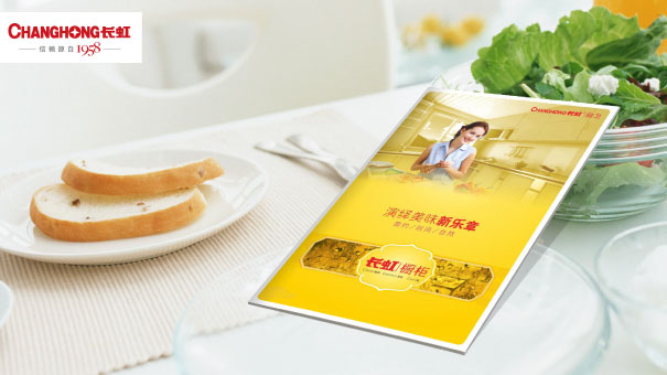 CHANGHONG長虹（視覺設計　畫冊設計　宣傳手冊　產品畫冊）